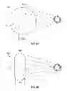 Fig. 09 - Balloon altitude control using density adjustment and/or volume adjustment