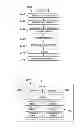 Fig. 23 - Line mounting system