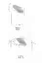 Fig. 02 - Device for driving a light receiving element to track a light source