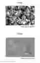 Fig. 07 - Electron microscope sample holder and sample observation method