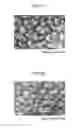 Fig. 09 - Electron microscope sample holder and sample observation method