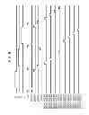 Fig. 07 - Image-pickup system capable of sensing an end of radiation during an accumulation operation and method of controlling same