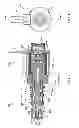 Fig. 02 - Direct acting solenoid actuator