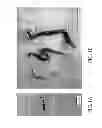 Fig. 02 - GRAPHITE NANOPLATELETS FOR THERMAL AND ELECTRICAL APPLICATIONS