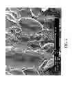 Fig. 03 - GRAPHITE NANOPLATELETS FOR THERMAL AND ELECTRICAL APPLICATIONS