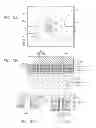 Fig. 07 - Nitride semiconductor light-emitting element