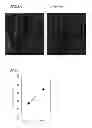 Fig. 08 - Nitride semiconductor light-emitting element and light source including the nitride semiconductor light-emitting element