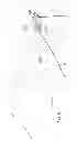 Fig. 09 - Accessory cross bar for a bicycle trailer