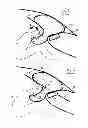 Fig. 02 - Air bag for vehicles