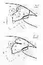 Fig. 04 - Air bag for vehicles