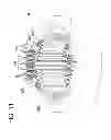 Fig. 12 - STATOR OF ROTATING ELECTRICAL MACHINE, METHOD OF MANUFACTURING SAME, AND APPARATUS FOR MANUFACTURING SAME