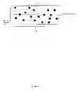 Fig. 09 - Through time GRAPPA