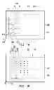 Fig. 02 - TOUCH PANEL AND MANUFACTURING METHOD THEREOF AND TOUCH DISPLAY PANEL