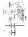 Fig. 02 - INTERMEDIATE MEMBER FOR LARGE-PARTICLE INKJET DEVELOPMENT