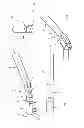Fig. 02 - DEVICE FOR RECORDING IMAGES OF THREE-DIMENSIONAL OBJECTS