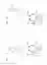 Fig. 02 - Automatic un-muting of a telephone call