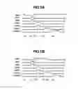 Fig. 07 - Driving method for image pickup apparatus and driving method for image pickup system