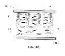 Fig. 02 - Continuous wave directional emission liquid crystal structures and devices