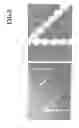 Fig. 09 - Spectacle lens and method and apparatus for making the same