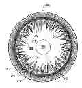 Fig. 01 - Ophthalmic lens with repeating wave patterns