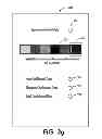 Fig. 10 - Method and system for facilitating modification of text colors in digital images