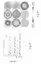 Fig. 07 - Optical devices with spiral aperiodic structures for circularly symmetric light scattering