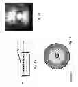 Fig. 09 - Optical devices with spiral aperiodic structures for circularly symmetric light scattering
