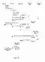 Fig. 05 - Independent resource request method for initial NAS signalling