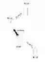 Fig. 01 - Method and apparatus for transmitting frames in talk-around direct communication