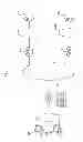 Fig. 09 - Router apparatus, communication system and packet transfer method