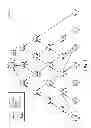 Fig. 02 - Diverse path forwarding through trial and error