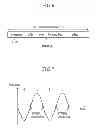 Fig. 07 - Method of generating packet, method of transmitting packet, and method of ranging of physical layer transmitter of wireless personal area network system