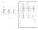 Fig. 01 - Real-time video coding system of multiple temporally scaled video and of multiple profile and standards based on shared video coding information