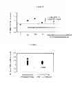 Fig. 05 - Method of steel grade determination for steel material