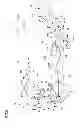 Fig. 06 - Image forming apparatus