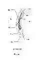 Fig. 02 - Hydro-impelled kayak paddle