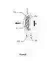 Fig. 09 - Hydro-impelled kayak paddle