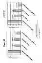 Fig. 08 - Material and methods for treating or preventing HER-3 associated diseases