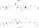 Fig. 167 - MODULATORS OF PHARMACOKINETIC PROPERTIES OF THERAPEUTICS