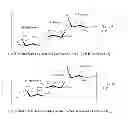 Fig. 01 - Immunogenic compositions of antigens