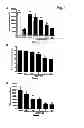 Fig. 02 - METHODS AND COMPOSITIONS FOR TREEATING PROLIFERATIVE DISEASES