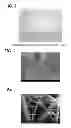 Fig. 02 - Wound care compositions comprising borate (BO) glass-based particles