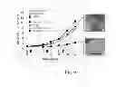 Fig. 06 - Particle composition and pharmaceutical composition using particle composition