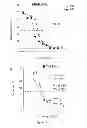 Fig. 22 - Activated Nucleoside Analog Conjugates and Methods of Use Thereof