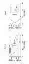 Fig. 06 - NITRITE AND NITRITE-METHEME THERAPY TO DETOXIFY STROMA-FREE HEMOGLOBIN BASED BLOOD SUBSTITUTES
