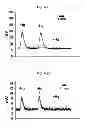 Fig. 22 - NITRITE AND NITRITE-METHEME THERAPY TO DETOXIFY STROMA-FREE HEMOGLOBIN BASED BLOOD SUBSTITUTES