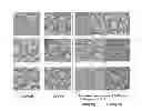 Fig. 01 - COMPOSITION COMPRISING THE EXTRACT OF HERBAL COMBINATION FOR PREVENTING OR TREATING DIABETIC PERIPHERAL NEUROPATHY