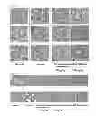 Fig. 02 - COMPOSITION COMPRISING THE EXTRACT OF HERBAL COMBINATION FOR PREVENTING OR TREATING DIABETIC PERIPHERAL NEUROPATHY