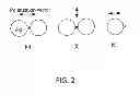 Fig. 03 - Surface-enhanced raman scattering substrates