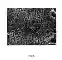Fig. 11 - Surface-enhanced raman scattering substrates